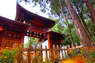 碧雲寺位於雞足山半山腰山環水繞的西來峰下,建於明朝天啟年間,寺院